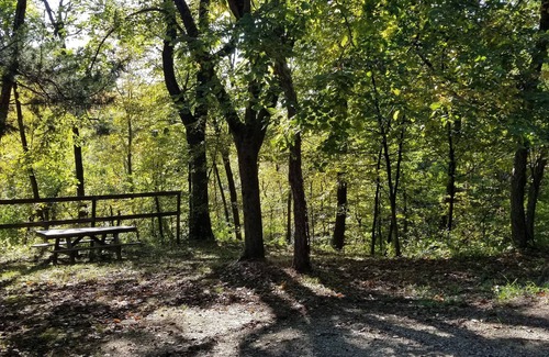 Moscow Cabine | Loft Cabin #4 near beautiful Cedar River.