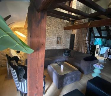 Montbeliard Appartement | Loft i gemelli