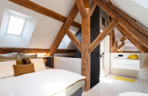 Nancy City Centre Appartement | Loft moderne au charme ancien, climatisé, près de la Place Stanislas - FR-1-584-352