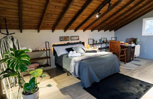 Osorio Maison | Loft no Morro da Borússia