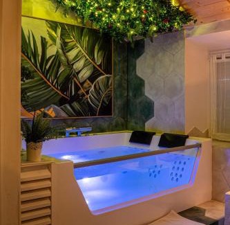 Saint-Salvayre Appartement | Loft & Spa Scandinave Romantique, King Size, TV 65