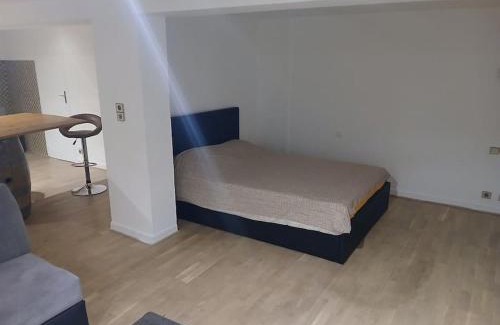 Jolimont-Soupetard-Bonhoure Appartement | Loft spacieux et cosy