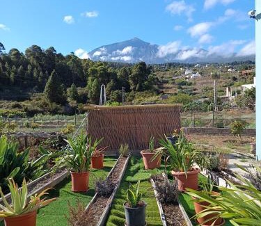 Buen Paso Appartement | Loft Vista al Teide