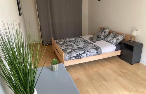 Cornebarrieu Appartement | Loftimeet