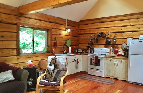 Roberts Creek Cabine | Log Cabin, lumineux, luxueux, calme. Idéal pour les couples et les familles avec enfants.