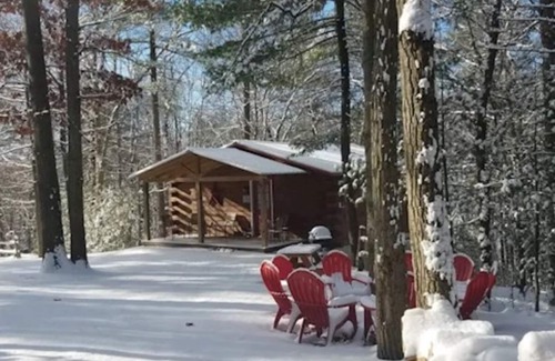 Huntingdon Cabine | Log Cabin in Wooded Area Near Raystown Lake Boat Access
