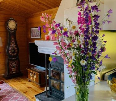 Mora Maison | Log Cabin Near Vasaloppet Ski Trail In Gopshus