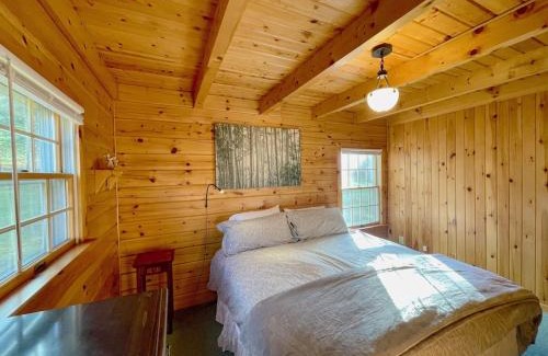 Maplecrest Maison | Log Home w Mountain Views Near Windham & Hunter Ski Resorts