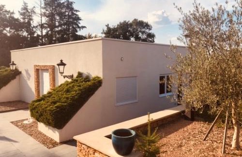 Commelle-Vernay Maison | Logement cadre Champêtre, entre ville et campagne