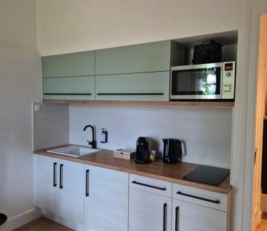 Trevoux Appartement | Logement "L'Olivier" TREVOUX climatisé