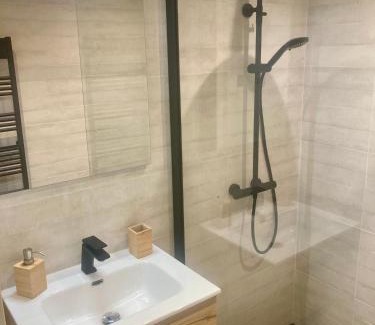 Andrezieux-Boutheon Appartement | Logement type 2 dans un parc verdoyant