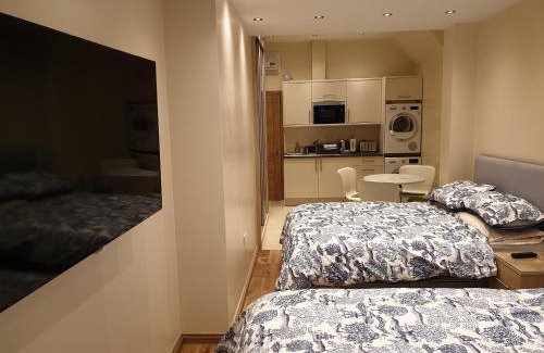 Valentines Appartement | London Luxury 2 bed studio 4 mins from Ilford Stn - FREE parking, WiFi, garden access