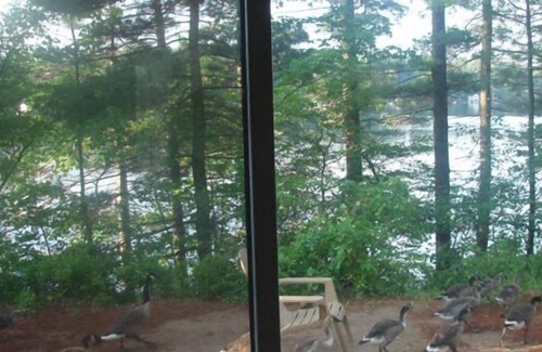 Brantingham Cottage | Long Point Cottages - «fin des terres» - Your Private Adirondack Lakefront Get Away