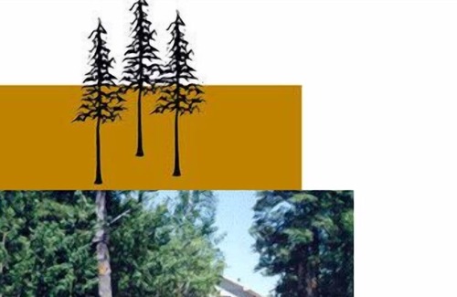 Brantingham Cottage | Long Point Cottages - «fin des terres» - Your Private Adirondack Lakefront Get Away