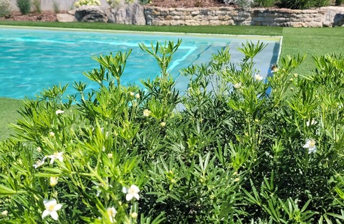 Marnay Maison | Longère with swimming pool, ideal for 5 couples with 8 children/teenagers.