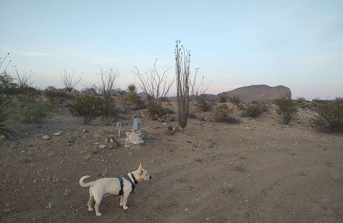 Study Butte-Terlingua Location De VR | Longhorn Ranch Motel - RV Park with Power and No Sewer