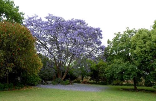 Lydenburg Maison | Longtom Farm Guesthouse