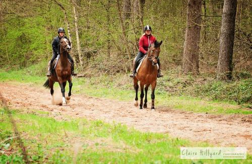Newark upon Trent Maison | Lord Byron Lodge
