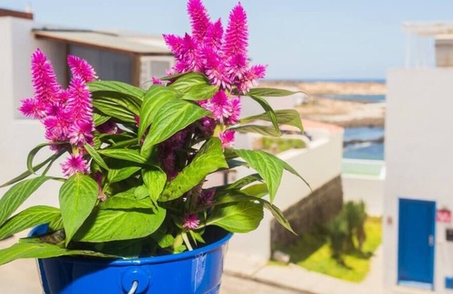 Caleta de Caballo Appartement | L'appartement de haut Alisios