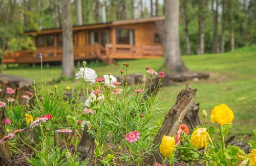 Puerto Octay Cabine | Los Lingues Lodge