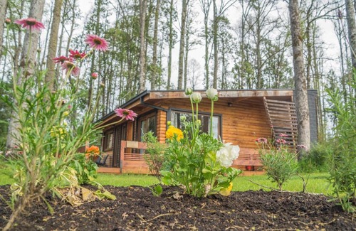 Puerto Octay Cabine | Los Lingues Lodge
