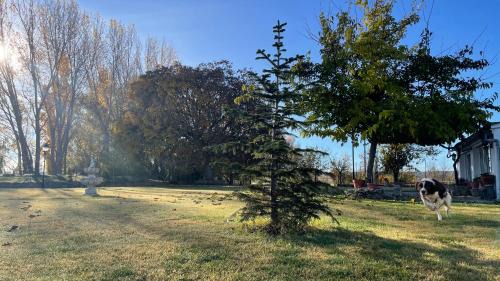 Viveros Maison | Los Manantiales Casa Rural