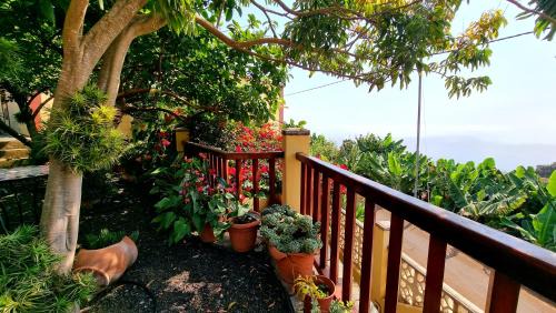Los Sauces Maison | Los Nacientes: Cordero