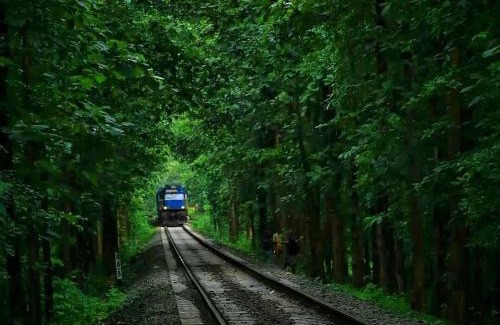 Malappuram Maison | Lose yourself in natures luxury