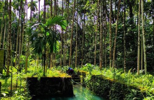 Malappuram Maison | Lose yourself in natures luxury