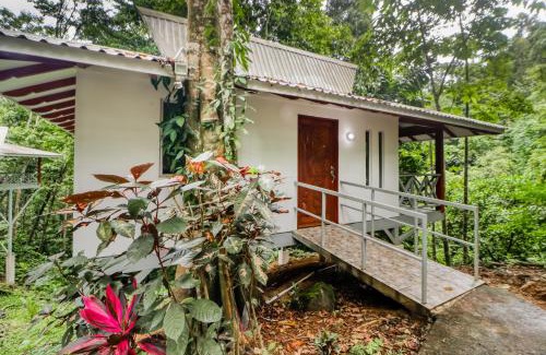 Tres Rios Hôtel | Lost Pools Bungalow