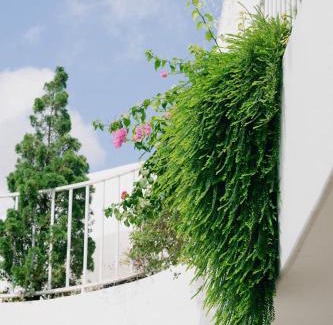Nghia Hanh Maison | Lotus Home Quảng Ngãi
