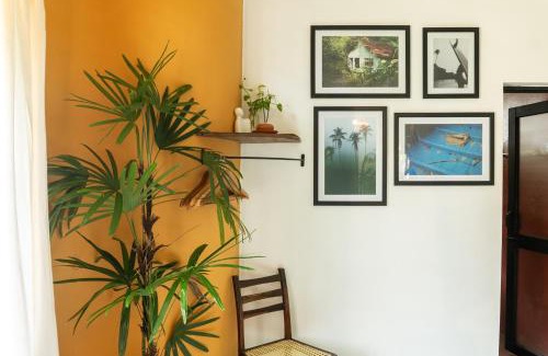 Midigama Maison | Lotus Surf And Wellness
