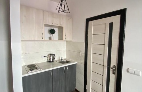 Kosuv Stary Appartement | lounge apartment