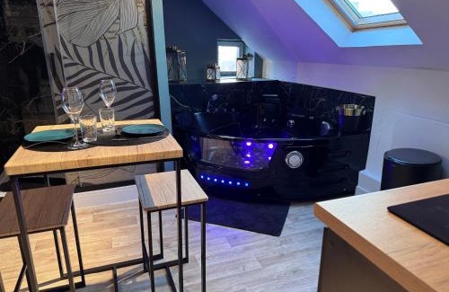 Brie-Comte-Robert Appartement | Love Escape
