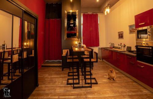 Villefranche-sur-Saone Appartement | Love Room with Dungeon, Hot Tub Private Sauna