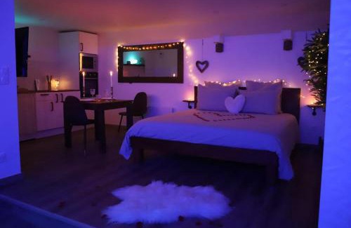 Charleville-Mezieres Appartement | Love room Unique - Sauna/Jacuzzi