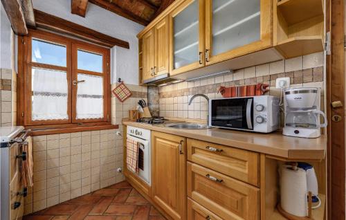 Gologorica Appartement | Lovely Apartment In Cerovlje With Wifi