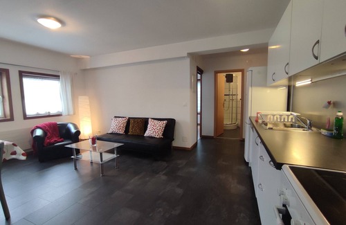 Boenigen Appartement | Lovely apartment in classic Chalet by the lake