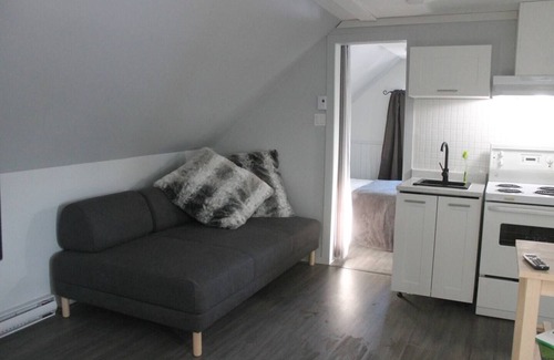 La Haute-Saint-Charles Appartement | Lovely appartment in Wendake, ( Québec city)