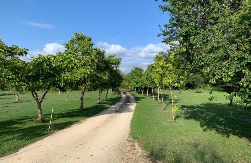Saint-Etienne-de-Villereal Maison | Lovely gites with private pool, privacy & spacious garden