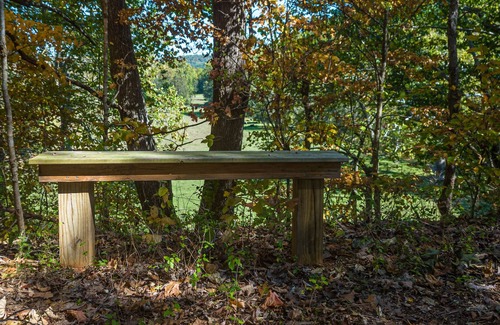 Rockbridge Baths Maison | Lovely Gardens with lots of solitude. Inground pool. Minutes to Lexington VA.