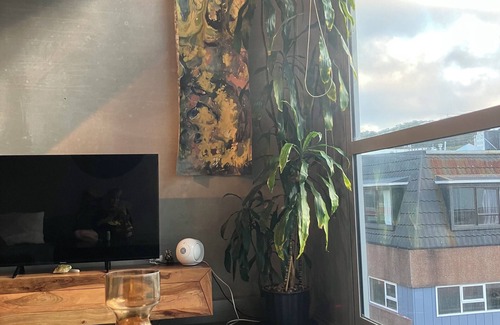 Te Aro Appartement | Lovely Inner City Apartment Te Aro, Wellington