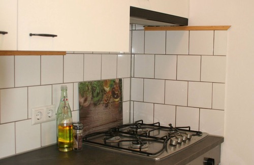 Transvaalbuurt Appartement | Bel appartement spacieux rénové dans une villa du 19ème siècle, avec vue sur le canal