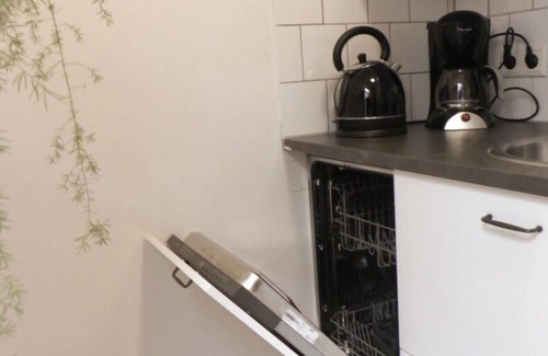 Transvaalbuurt Appartement | Bel appartement spacieux rénové dans une villa du 19ème siècle, avec vue sur le canal