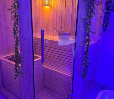 Metz Appartement | Loveroom de luxe avec jacuzzi sauna vapeur écran 300 cm