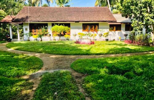 Midigama Maison | Lucky mongrooves