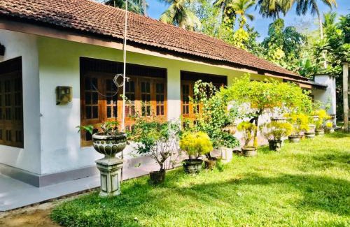 Midigama Maison | Lucky mongrooves