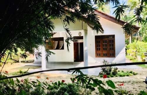 Midigama Maison | Lucky mongrooves