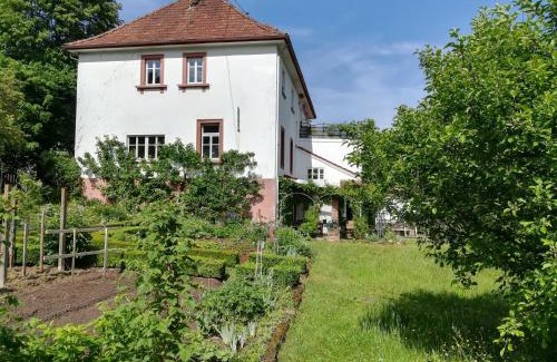 Lemberg Appartement | Ludwig im Künstlerhaus