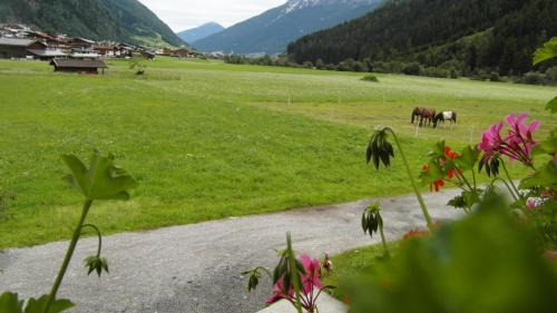 Neustift Im Stubaital Maison | Luenerhof